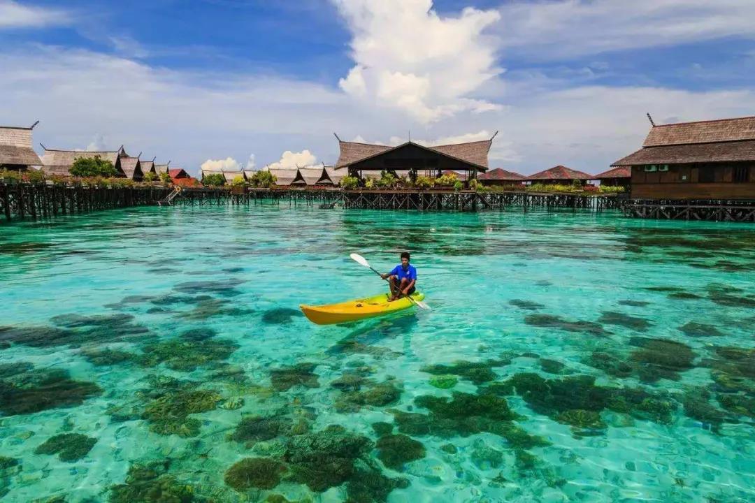 揪心！Delta變異毒株肆虐亞洲，印尼、馬來(lái)西亞、越南、韓國(guó)等多國(guó)確診創(chuàng)新高