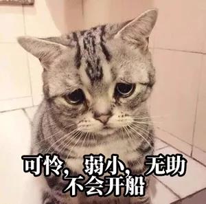 預(yù)提費(fèi)落箱費(fèi)，天價(jià)運(yùn)費(fèi)再加雜費(fèi)！開港晚截單早，心力交瘁等船到廢！