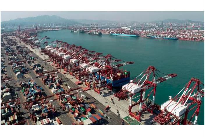 改行！這家公司, 5艘散貨船跑去運(yùn)集裝箱！...P&I緊急提醒