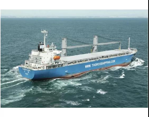 改行！這家公司, 5艘散貨船跑去運(yùn)集裝箱！...P&I緊急提醒